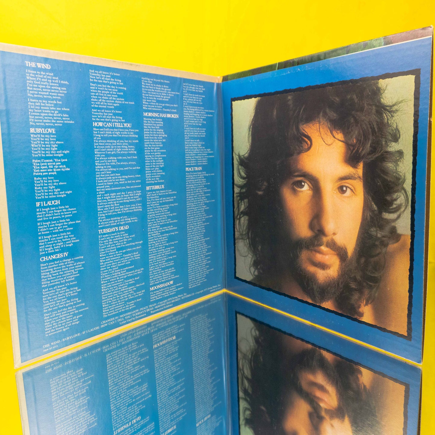 Cat Stevens "Teaser And The Firecat" LP